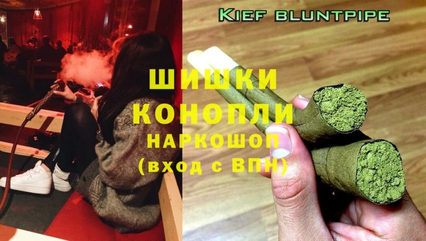 крисы Наволоки