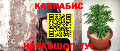 ALPHA PVP Канаш