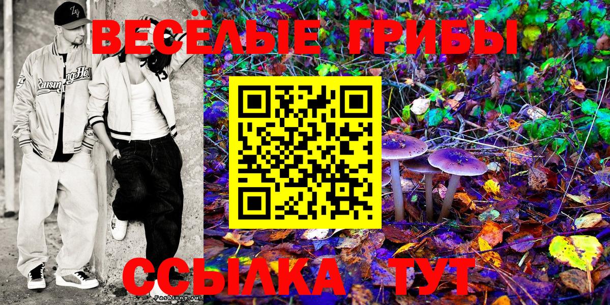 Галлюциногенные грибы GOLDEN TEACHER  купить наркотик  Россошь 